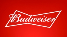 Budweiser brand logo custom vinyl decal
