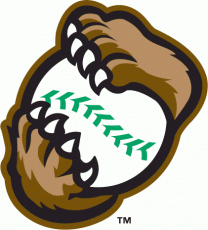 Kane County Cougars 2007-2015 Alternate Logo heat sticker