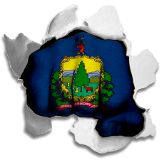 Fist Vermont State Flag Logo heat sticker