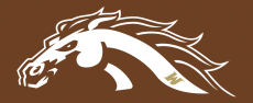 Western Michigan Broncos 2016-Pres Misc Logo heat sticker