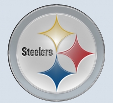Pittsburgh Steelers Plastic Effect Logo heat sticker