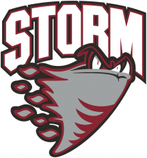 Guelph Storm 2007 08-2017 18 Primary Logo custom vinyl decal