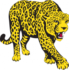 South Alabama Jaguars 1993-2007 Partial Logo custom vinyl decal