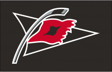 Carolina Hurricanes 2008 09-2016 17 Jersey Logo heat sticker