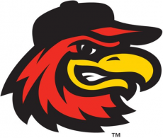 Rochester Red Wings 2014-Pres Alternate Logo 2 heat sticker