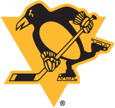 Pittsburgh Penguins 2018 19 Special Event Logo heat sticker