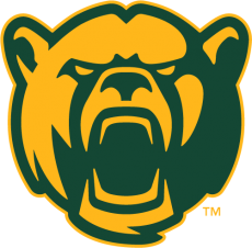 Baylor Bears 2005-2018 Alternate Logo 09 heat sticker
