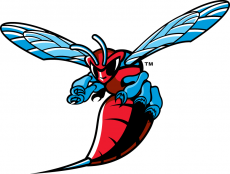 Delaware State Hornets 2004-Pres Primary Logo custom vinyl decal