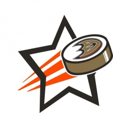 Anaheim Ducks Hockey Goal Star logo heat sticker