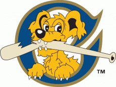 Charleston Riverdogs 1996-2010 Cap Logo heat sticker