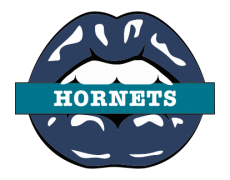 Charlotte Hornets Lips Logo heat sticker