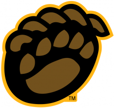 Baylor Bears 2005-2018 Alternate Logo 02 heat sticker