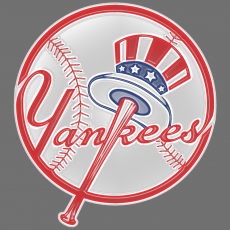 New York Yankees Plastic Effect Logo heat sticker
