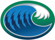 Texas A&M-CC Islanders 2002-2009 Secondary Logo heat sticker