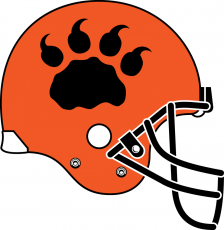 BC Lions 2006-2008 Helmet Logo heat sticker