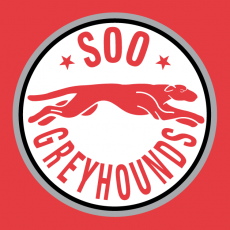 Sault Ste. Marie Greyhounds 1998 99-2008 09 Alternate Logo heat sticker