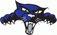 High Point Panthers 2004-Pres Alternate Logo heat sticker