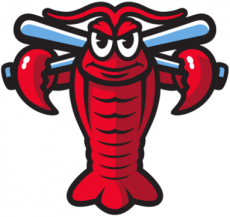 Hickory Crawdads 2016-Pres Alternate Logo 3 heat sticker