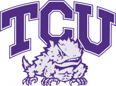 TCU Horned Frogs 1995-Pres Alternate Logo 02 heat sticker