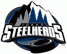 Idaho Steelheads 2006 07-2010 11 Primary Logo custom vinyl decal