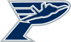 Pensacola Ice Flyers 2013 14-Pres Secondary Logo custom vinyl decal