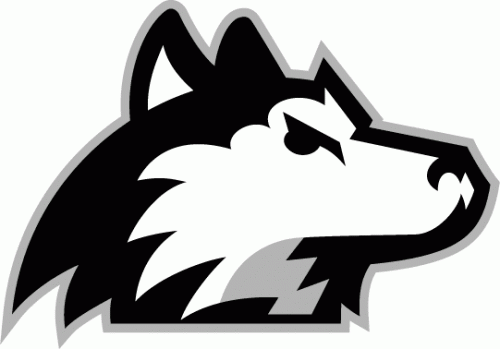 Northern Illinois Huskies 2001-Pres Alternate Logo 02 heat sticker