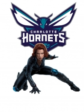Charlotte Hornets Black Widow Logo custom vinyl decal