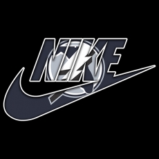 Tampa Bay Lightning Nike logo heat sticker