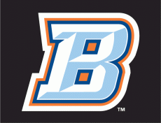 Buffalo Bisons 2009-2012 Cap Logo heat sticker