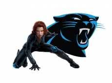 Carolina Panthers Black Widow Logo heat sticker