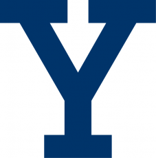 Yale Bulldogs 2000-Pres Alternate Logo heat sticker