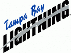 Tampa Bay Lightning 1992 93-2000 01 Wordmark Logo custom vinyl decal