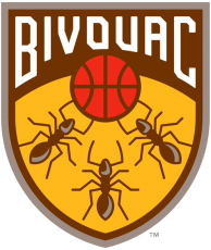 Bivouac 2019-Pres Primary Logo heat sticker