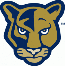 FIU Panthers 2001-2008 Alternate Logo custom vinyl decal