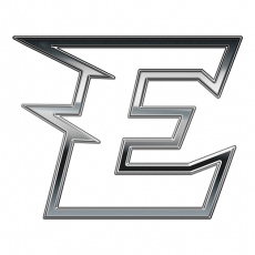 Philadelphia Eagles Silver Logo heat sticker