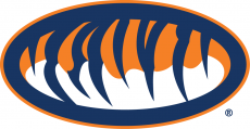 Auburn Tigers 1998-Pres Alternate Logo 02 heat sticker