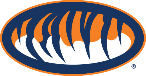 Auburn Tigers 1998-Pres Alternate Logo 02 custom vinyl decal
