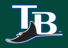 Tampa Bay Rays 2005-2007 Wordmark Logo heat sticker