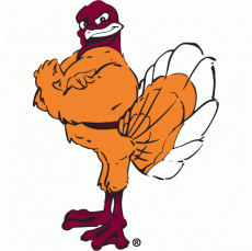 Virginia Tech Hokies 2000-Pres Mascot Logo heat sticker
