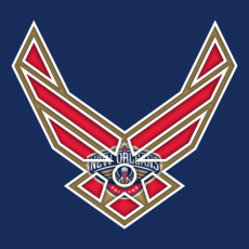 Airforce New Orleans Pelicans Logo heat sticker