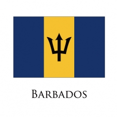 Barbados flag logo heat sticker