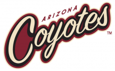 Arizona Coyotes 2014 15 Wordmark Logo custom vinyl decal