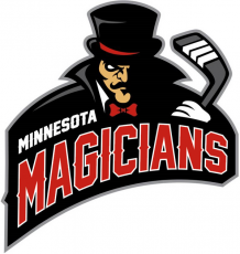 Minnesota Magicians 2013 14-Pres Primary Logo custom vinyl decal