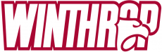 Winthrop Eagles 1995-Pres Wordmark Logo 02 custom vinyl decal