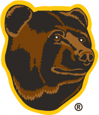 Boston Bruins 1995 96-2006 07 Alternate Logo heat sticker