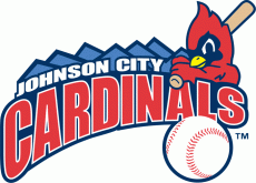 Johnson City Cardinals 1995-Pres Primary Logo heat sticker