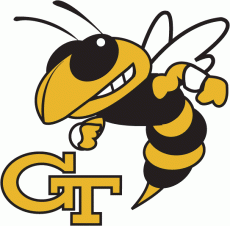 Georgia Tech Yellow Jackets 1991-Pres Primary Logo heat sticker