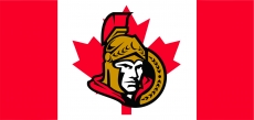Ottawa Senators Flag001 logo heat sticker