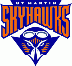 Tennessee-Martin Skyhawks 2003-2008 Primary Logo heat sticker