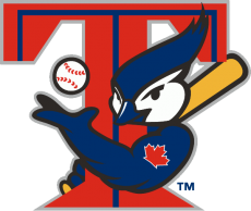Toronto Blue Jays 2001-2002 Alternate Logo custom vinyl decal
